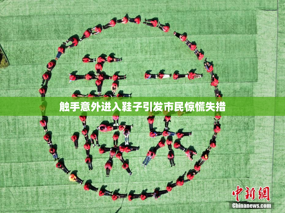 触手意外进入鞋子引发市民惊慌失措