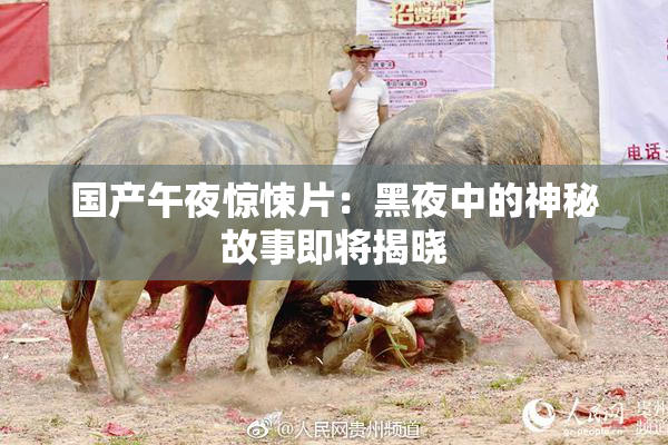 国产午夜惊悚片：黑夜中的神秘故事即将揭晓