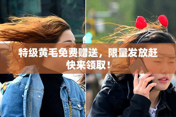 特级黄毛免费赠送，限量发放赶快来领取！
