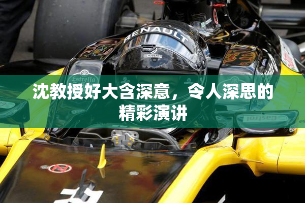 沈教授好大含深意，令人深思的精彩演讲