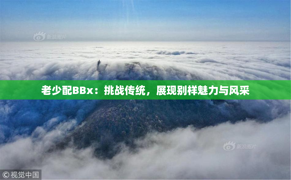 老少配BBx：挑战传统，展现别样魅力与风采