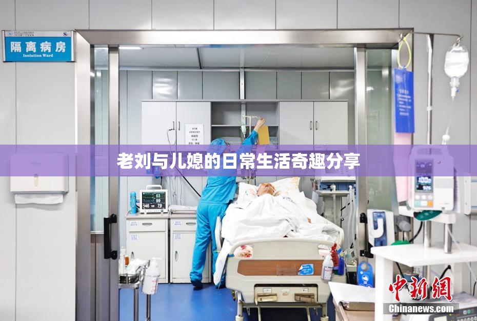 老刘与儿媳的日常生活奇趣分享