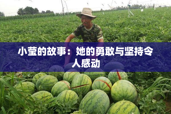 小莹的故事：她的勇敢与坚持令人感动