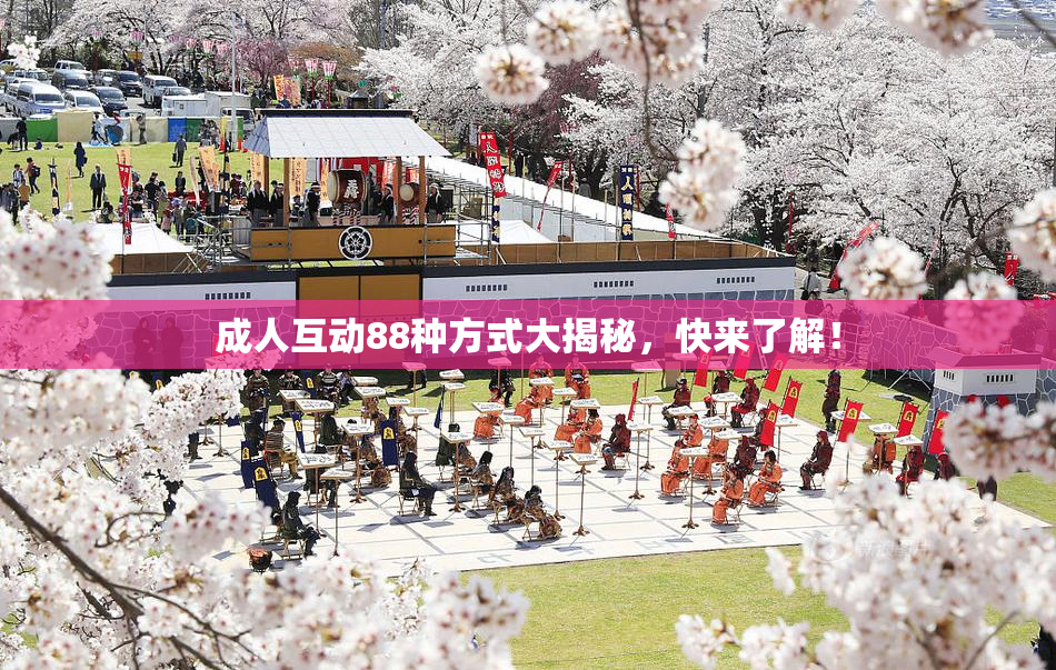 成人互动88种方式大揭秘，快来了解！