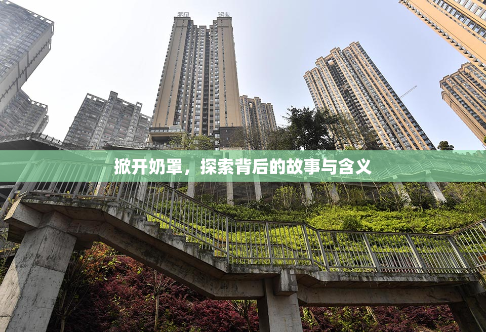 掀开奶罩，探索背后的故事与含义