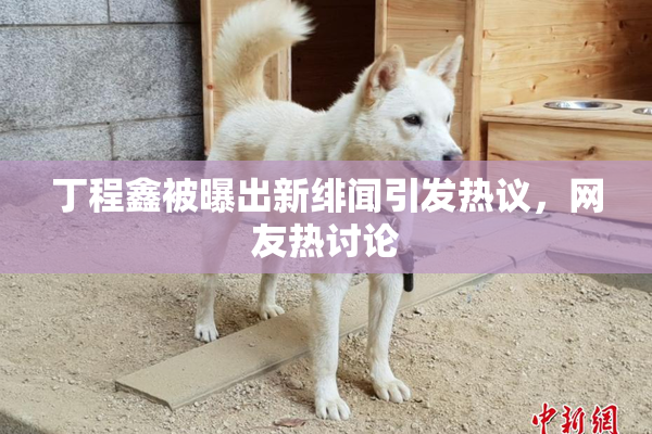 丁程鑫被曝出新绯闻引发热议，网友热讨论