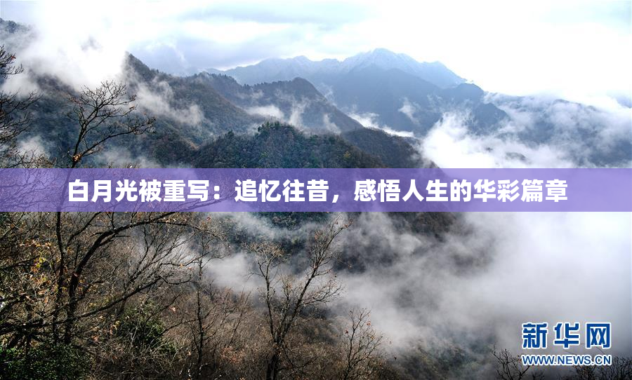 白月光被重写：追忆往昔，感悟人生的华彩篇章