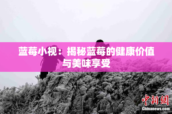 蓝莓小视：揭秘蓝莓的健康价值与美味享受