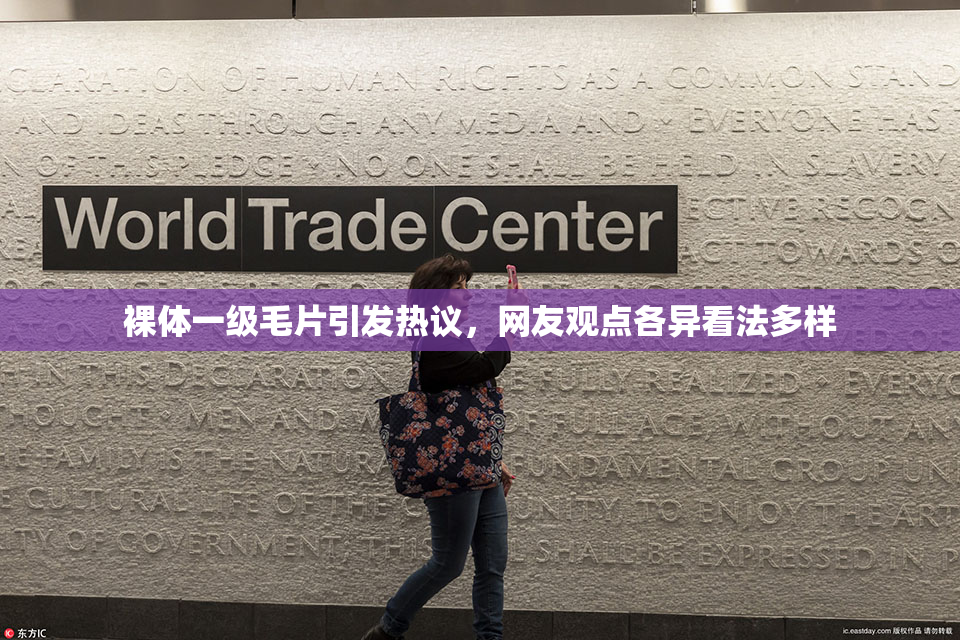 裸体一级毛片引发热议，网友观点各异看法多样
