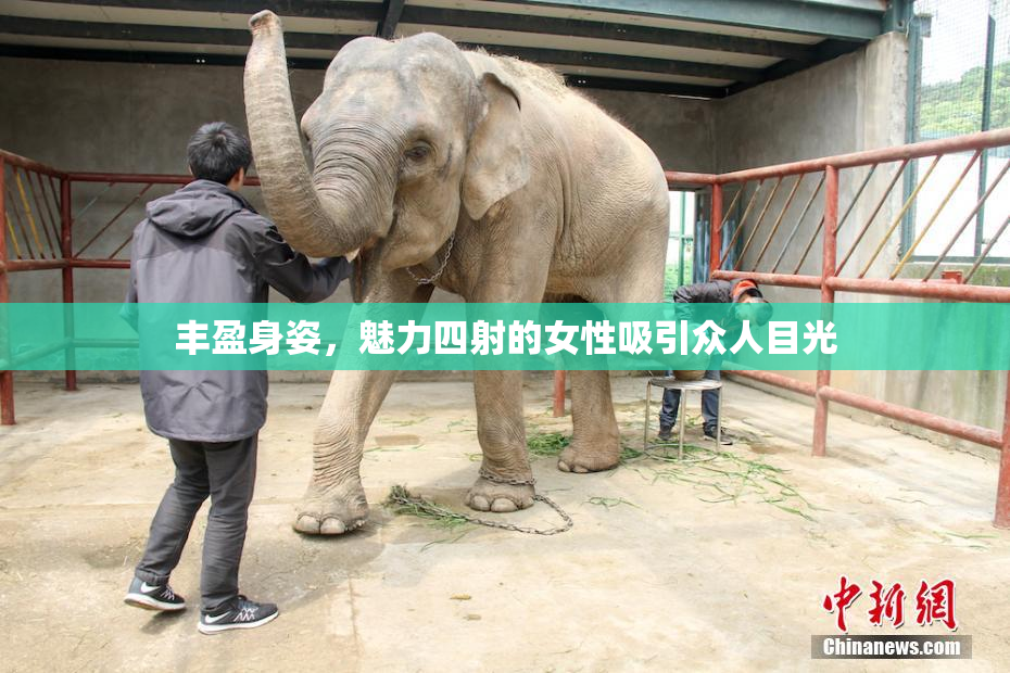 丰盈身姿，魅力四射的女性吸引众人目光