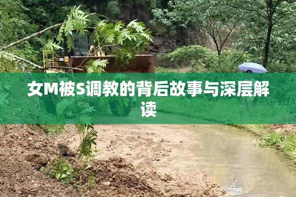 女M被S调教的背后故事与深层解读