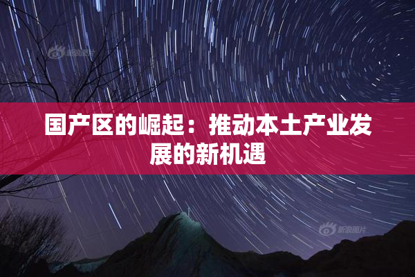 国产区的崛起：推动本土产业发展的新机遇