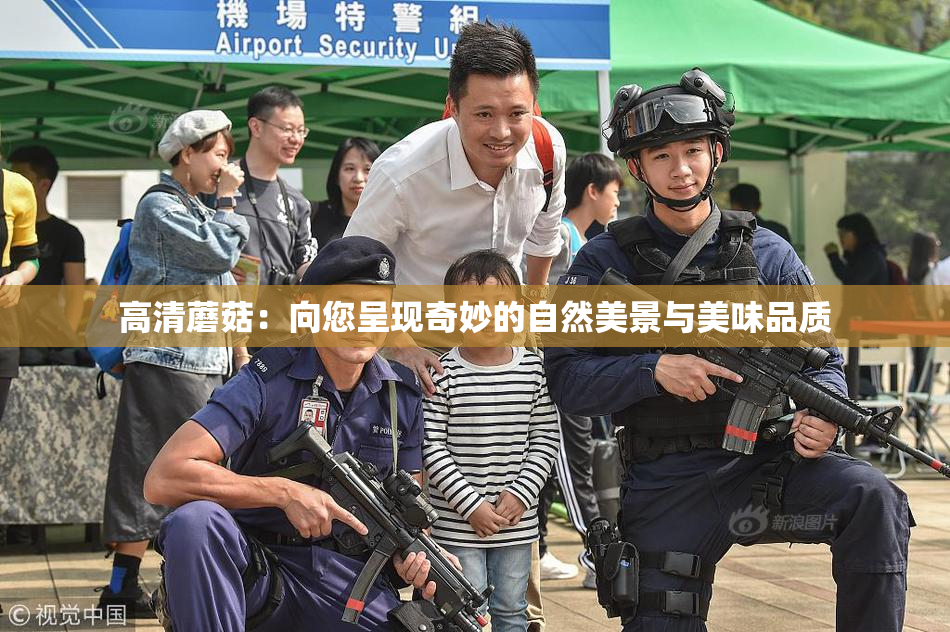 高清蘑菇：向您呈现奇妙的自然美景与美味品质