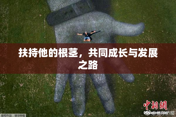 扶持他的根茎，共同成长与发展之路