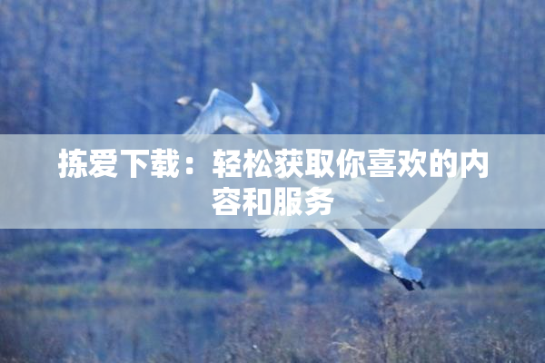 拣爱下载：轻松获取你喜欢的内容和服务