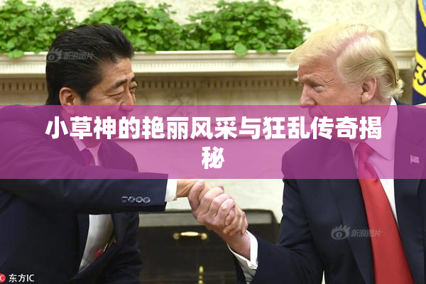 小草神的艳丽风采与狂乱传奇揭秘
