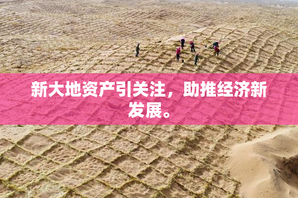 新大地资产引关注，助推经济新发展。