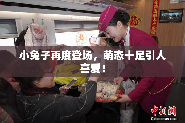 小兔子再度登场，萌态十足引人喜爱！