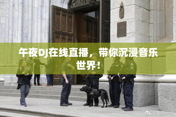 午夜DJ在线直播，带你沉浸音乐世界！