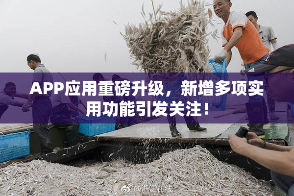 APP应用重磅升级，新增多项实用功能引发关注！