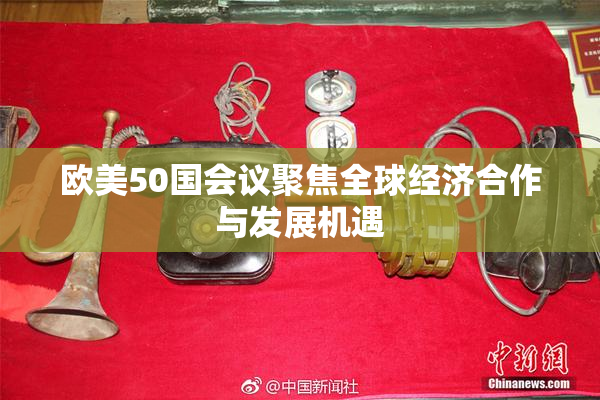欧美50国会议聚焦全球经济合作与发展机遇