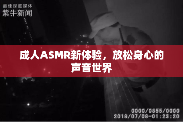 成人ASMR新体验，放松身心的声音世界