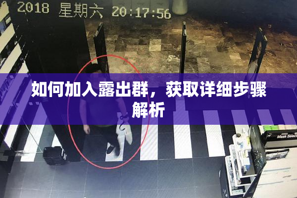 如何加入露出群，获取详细步骤解析
