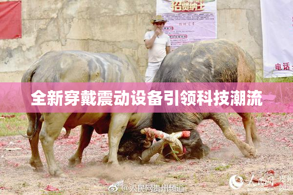 全新穿戴震动设备引领科技潮流
