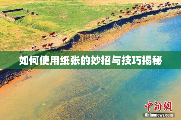 如何使用纸张的妙招与技巧揭秘