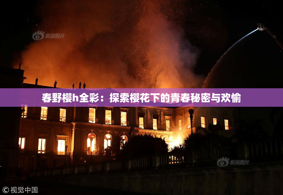 春野樱h全彩：探索樱花下的青春秘密与欢愉