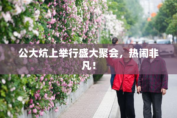 公大炕上举行盛大聚会，热闹非凡！