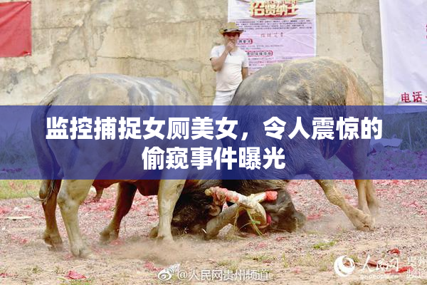 监控捕捉女厕美女，令人震惊的偷窥事件曝光