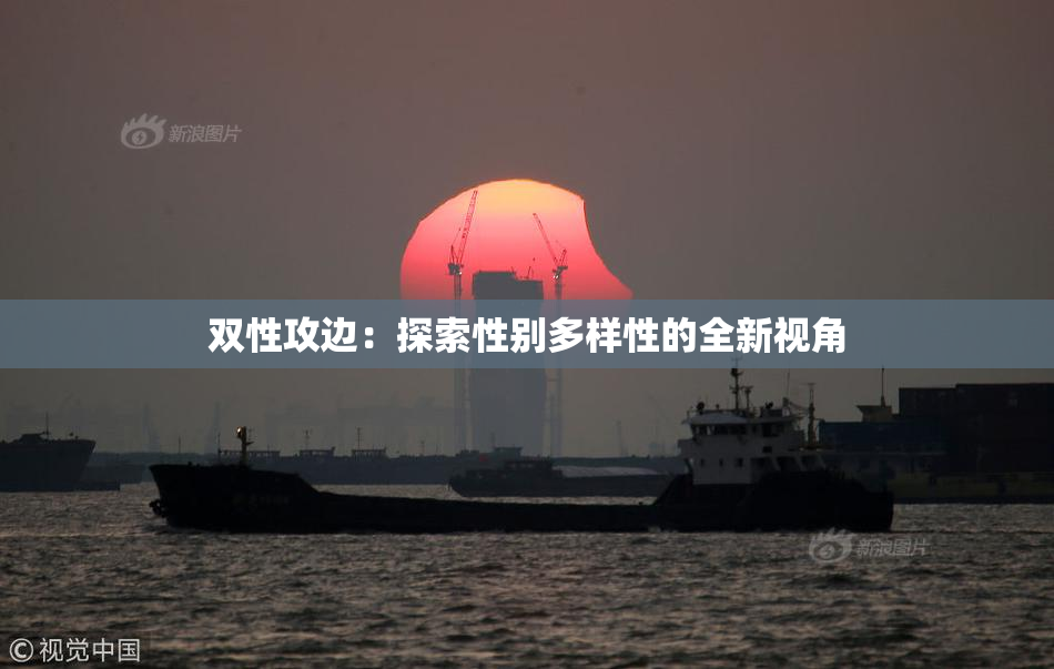 双性攻边：探索性别多样性的全新视角