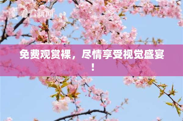 免费观赏裸，尽情享受视觉盛宴！