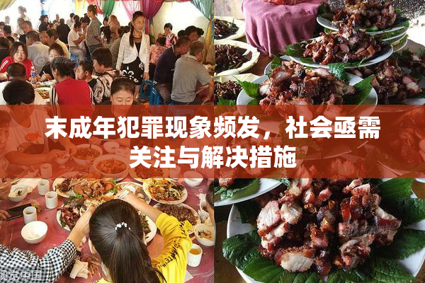 末成年犯罪现象频发，社会亟需关注与解决措施