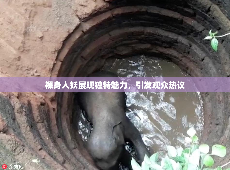 裸身人妖展现独特魅力，引发观众热议