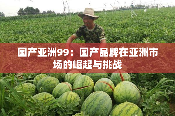 国产亚洲99：国产品牌在亚洲市场的崛起与挑战