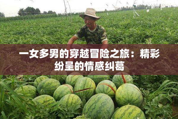 一女多男的穿越冒险之旅：精彩纷呈的情感纠葛