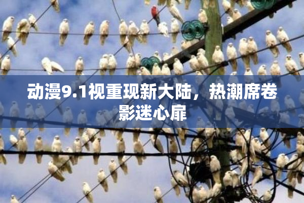 动漫9.1视重现新大陆，热潮席卷影迷心扉