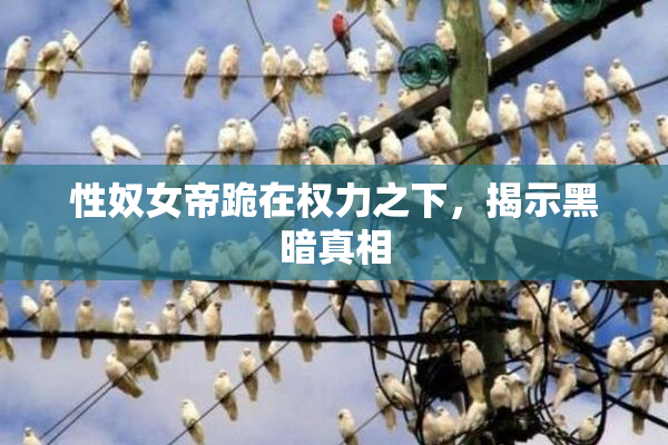 性奴女帝跪在权力之下，揭示黑暗真相