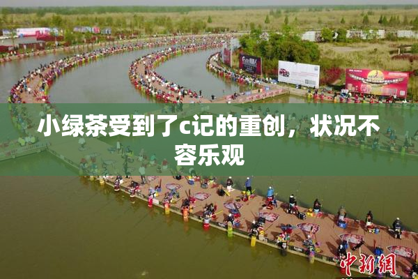 小绿茶受到了c记的重创，状况不容乐观