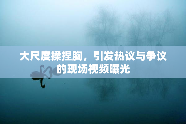 大尺度揉捏胸，引发热议与争议的现场视频曝光