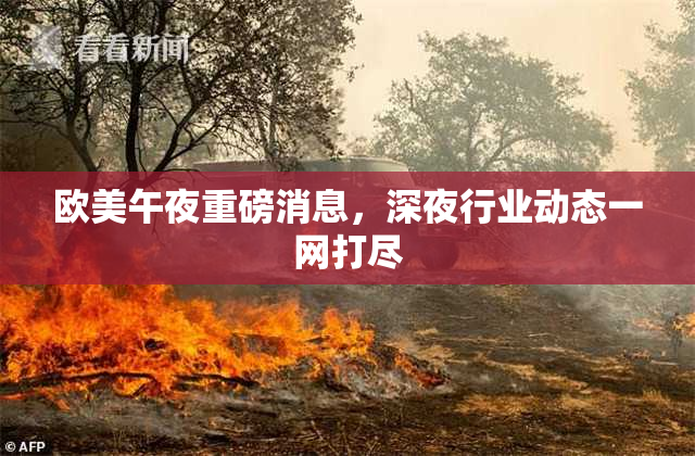 欧美午夜重磅消息，深夜行业动态一网打尽