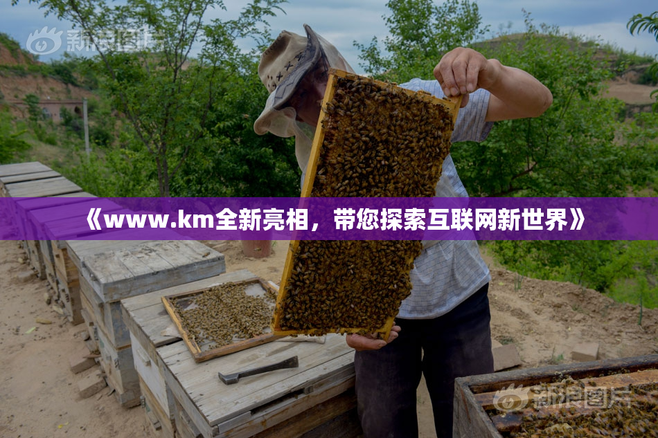 《www.km全新亮相，带您探索互联网新世界》