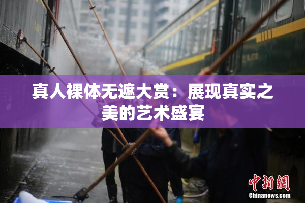 真人裸体无遮大赏：展现真实之美的艺术盛宴