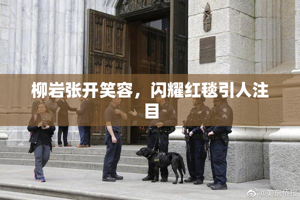 柳岩张开笑容，闪耀红毯引人注目