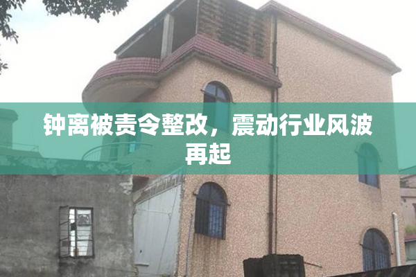 钟离被责令整改，震动行业风波再起