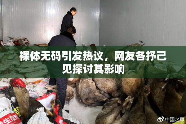 裸体无码引发热议，网友各抒己见探讨其影响