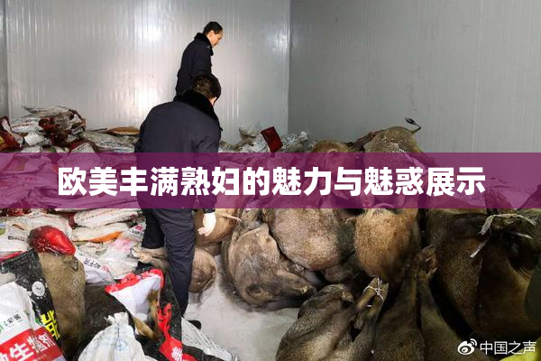 欧美丰满熟妇的魅力与魅惑展示