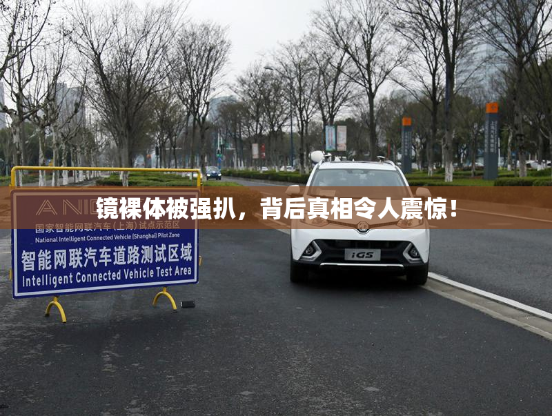 镜裸体被强扒，背后真相令人震惊！
